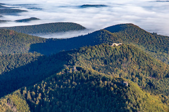 Vue aérienne de Château de Lœwenstein et Wegelnburg à Wingen dans le département Bas Rhin, France