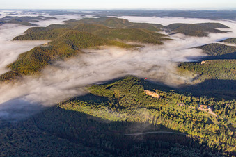 Vue d'oiseau de Château Fort de Fleckenstein à Lembach dans le département Bas Rhin, France