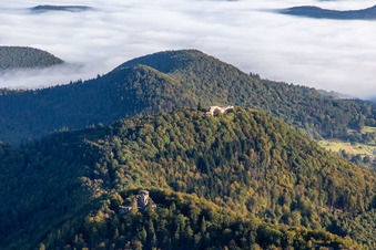 Vue aérienne de Château de Lœwenstein et Wegelnburg à Wingen dans le département Bas Rhin, France