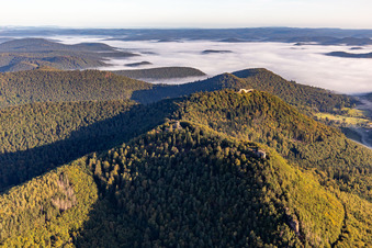 Vue aérienne de Châteaux de Hohenbourg et Lœwenstein et Wegelnburg à Lembach dans le département Bas Rhin, France