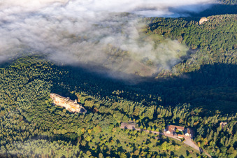 Vue aérienne de Château Fort de Fleckenstein à Lembach dans le département Bas Rhin, France
