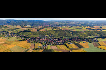 Enregistrement par drone de Steinseltz dans le département Bas Rhin, France