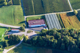 Vue aérienne de Astillo S.à.rl à Steinseltz dans le département Bas Rhin, France