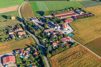 Photographie aérienne de Ferme Schafbusch à Steinseltz dans le département Bas Rhin, France