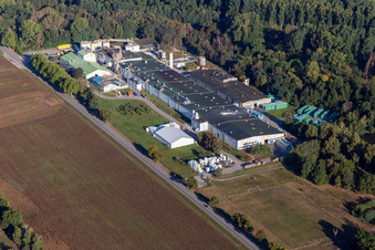 Isolation Sitek à le quartier Altenstadt in Wissembourg dans le département Bas Rhin, France depuis l'avion