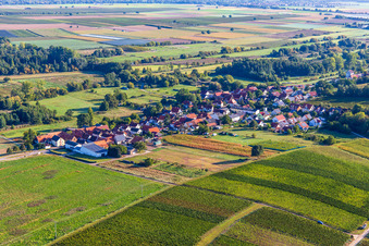 Vue aérienne de Du sud-ouest à Hergersweiler dans le département Rhénanie-Palatinat, Allemagne