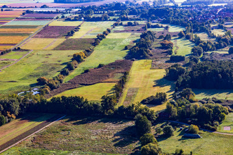 Vue aérienne de Réserve naturelle de Billigheimer Bruch vue de l'ouest à le quartier Mühlhofen in Billigheim-Ingenheim dans le département Rhénanie-Palatinat, Allemagne