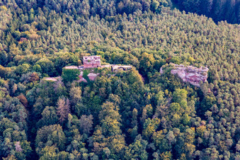 Vue aérienne de Château de Drachenfels à Busenberg dans le département Rhénanie-Palatinat, Allemagne