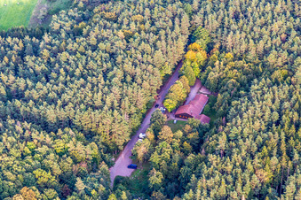 Vue aérienne de Refuge Drachenfels au château de Drachenfels à Busenberg dans le département Rhénanie-Palatinat, Allemagne