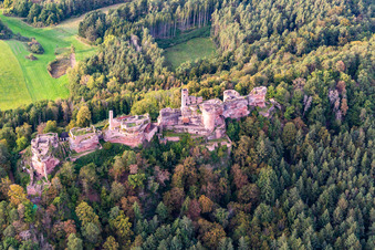 Photographie aérienne de Massif du château d'Altdahn avec les ruines des châteaux de Grafendahn et de Tanstein à Dahn dans le département Rhénanie-Palatinat, Allemagne