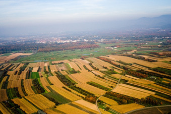 Vue aérienne de Club de golf Urloffen eV à le quartier Urloffen in Appenweier dans le département Bade-Wurtemberg, Allemagne