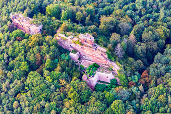 Vue d'oiseau de Château de Drachenfels à Busenberg dans le département Rhénanie-Palatinat, Allemagne