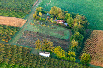 Vue aérienne de Datcha à la campagne à Oberotterbach dans le département Rhénanie-Palatinat, Allemagne