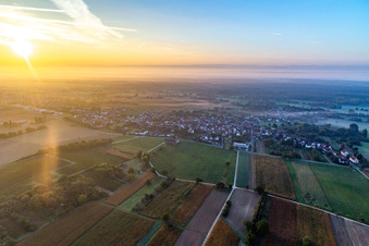 Vue aérienne de Du nord-ouest au lever du soleil à le quartier Kleinsteinfeld in Steinfeld dans le département Rhénanie-Palatinat, Allemagne