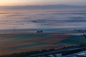 Riedseltz dans le département Bas Rhin, France vue du ciel