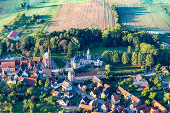 Vue aérienne de Château de Froeschwiller à Frœschwiller dans le département Bas Rhin, France