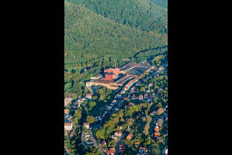 Vue aérienne de Fonderie de Niederbronn à Niederbronn-les-Bains dans le département Bas Rhin, France
