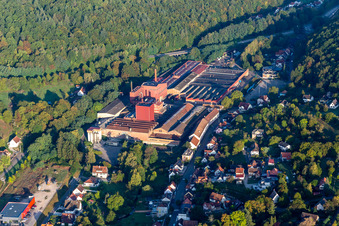 Vue aérienne de Fonderie de Niederbronn à Niederbronn-les-Bains dans le département Bas Rhin, France