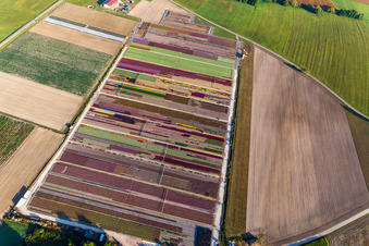 Parterres colorés de la Ferme Brandt Arbogast Morsbronn à Durrenbach dans le département Bas Rhin, France hors des airs