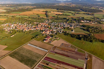 Vue aérienne de Ferme Brandt Arbogast Morsbronn à Morsbronn-les-Bains dans le département Bas Rhin, France