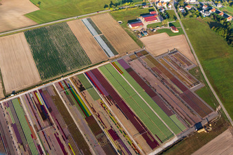 Vue d'oiseau de Parterres colorés de la Ferme Brandt Arbogast Morsbronn à Durrenbach dans le département Bas Rhin, France