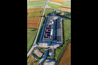 Vue oblique de Outils Gunther à Soultz-sous-Forêts dans le département Bas Rhin, France