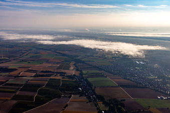 Image drone de Quartier Schaidt in Wörth am Rhein dans le département Rhénanie-Palatinat, Allemagne