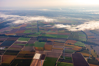 Vue aérienne de Parc éolien Freckenfeld dans la brume matinale à Freckenfeld dans le département Rhénanie-Palatinat, Allemagne
