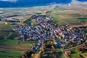 Vue aérienne de De l'est à Göcklingen dans le département Rhénanie-Palatinat, Allemagne