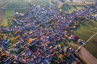 Vue aérienne de Du nord-est à Göcklingen dans le département Rhénanie-Palatinat, Allemagne