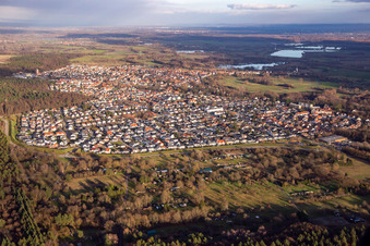 Vue aérienne de En hiver depuis l'ouest à Jockgrim dans le département Rhénanie-Palatinat, Allemagne