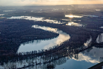 Vue aérienne de En raison des inondations, la réserve naturelle de Goldgrund dans la Hagenbacher Altrheinschleife a été inondée à le quartier Maximiliansau in Wörth am Rhein dans le département Rhénanie-Palatinat, Allemagne