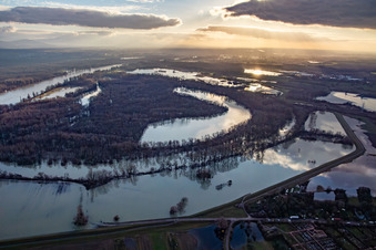 Photographie aérienne de En raison des inondations, la réserve naturelle de Goldgrund dans la Hagenbacher Altrheinschleife a été inondée à le quartier Maximiliansau in Wörth am Rhein dans le département Rhénanie-Palatinat, Allemagne