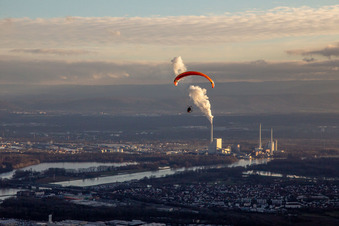 Vue aérienne de Parapente sur Maximiliansau à le quartier Maximiliansau in Wörth am Rhein dans le département Rhénanie-Palatinat, Allemagne