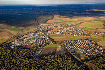 Vue aérienne de En hiver du sud-ouest à Rheinzabern dans le département Rhénanie-Palatinat, Allemagne