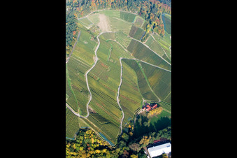Vue aérienne de Paysage viticole des régions viticoles à Achern dans le département Bade-Wurtemberg, Allemagne