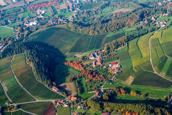 Vue aérienne de Ferme de vacances Steimel à le quartier Hornenberg in Lauf dans le département Bade-Wurtemberg, Allemagne