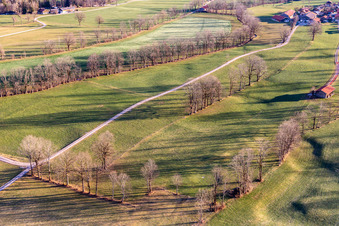 Vue aérienne de Prairies fruitières en hiver à le quartier Arzbach in Wackersberg dans le département Bavière, Allemagne