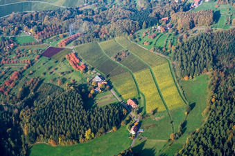 Vue aérienne de Lochwald à le quartier Matzenhöfe in Lauf dans le département Bade-Wurtemberg, Allemagne