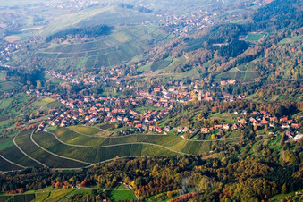 Vue aérienne de Vignobles à le quartier Neusatz in Bühl dans le département Bade-Wurtemberg, Allemagne