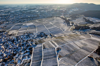 Vue aérienne de Vignoble allemand Sonnenberg sur le sol français en hiver avec de la neige du nord à Wissembourg dans le département Bas Rhin, France