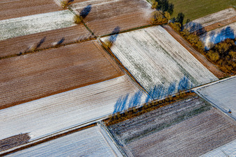 Vue aérienne de Structures de champ et ombres en hiver avec neige à Schweighofen dans le département Rhénanie-Palatinat, Allemagne