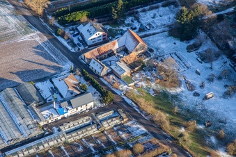 Vue aérienne de Verdure coupée Schmeißer à Vollmersweiler dans le département Rhénanie-Palatinat, Allemagne