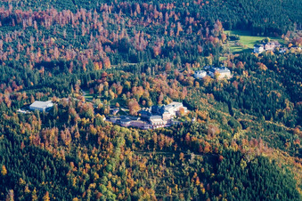 Vue aérienne de Hauteur de Bühler à le quartier Hof in Bühlertal dans le département Bade-Wurtemberg, Allemagne