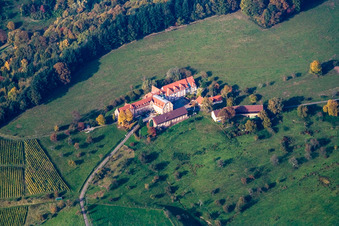 Vue aérienne de Moulin de Geroldsauer à le quartier Lichtental in Baden-Baden dans le département Bade-Wurtemberg, Allemagne