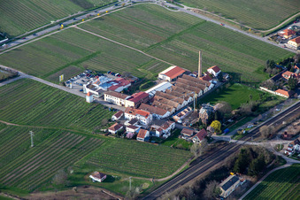 Vue aérienne de Richard Gerlinger GmbH à Kirrweiler dans le département Rhénanie-Palatinat, Allemagne