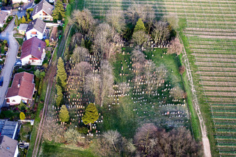 Vue aérienne de Vieux cimetière à le quartier Ingenheim in Billigheim-Ingenheim dans le département Rhénanie-Palatinat, Allemagne
