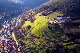 Vue aérienne de Hôtel Arens à 327 m d'altitude à le quartier SaintMartin in Sankt Martin dans le département Rhénanie-Palatinat, Allemagne