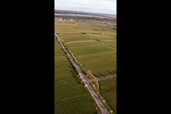 Vue aérienne de Almond Mile et Wine Trail sur Villastr à Edenkoben dans le département Rhénanie-Palatinat, Allemagne