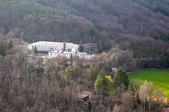 Vue aérienne de École de sport Edenkoben à Edenkoben dans le département Rhénanie-Palatinat, Allemagne
